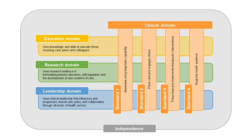 Figure 1: Nurse practitioner standards framework