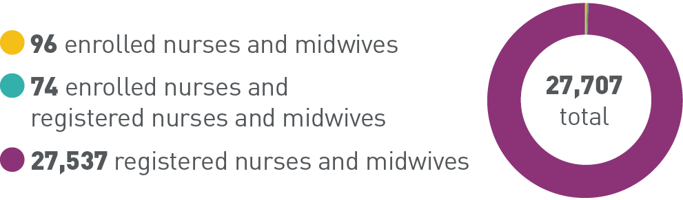 96 enrolled nurses and midwives, 74 enrolled nurses and registered nurses and midwives, 27,537 registered nurses and midwives, 27,707 total